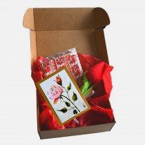 Ladies Gift Box Silk