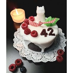 Birthday Cake Candle – Raspberries