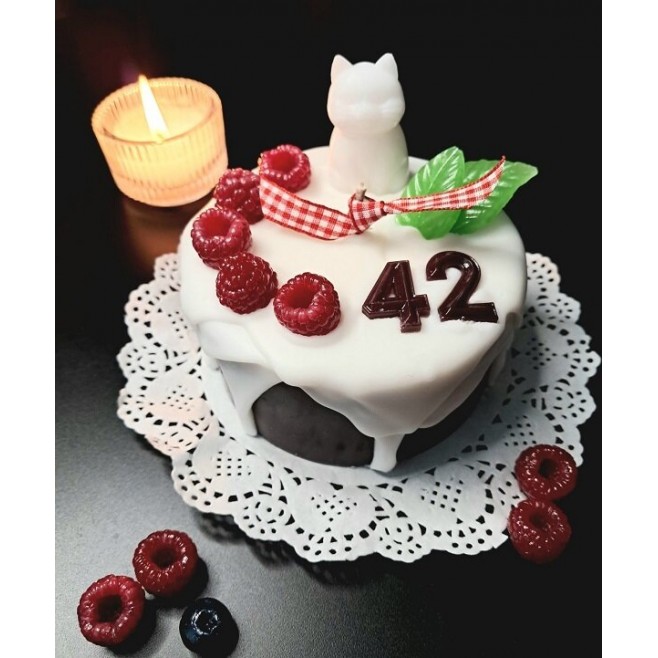 Birthday Cake Candle – Raspberries