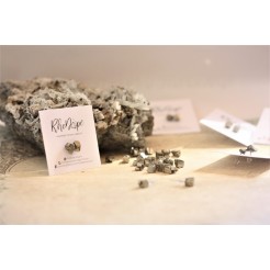 Earrings Wealth with Rhodope pyrite