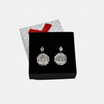 Silver earrings Catanica