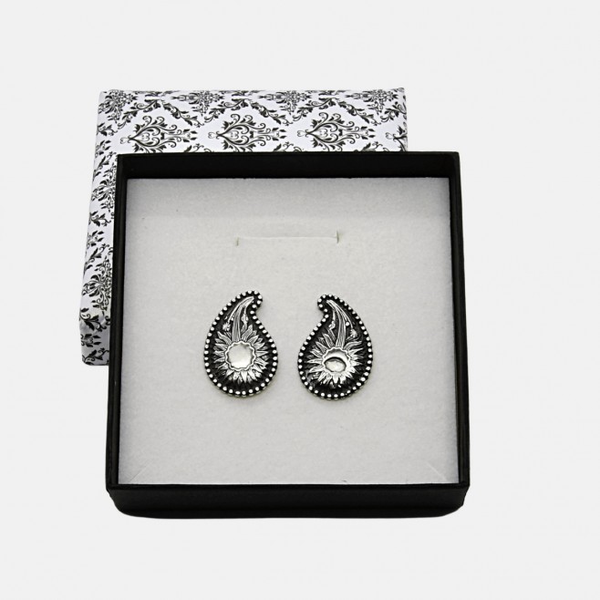 Silver earrings Buckles