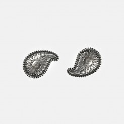 Silver earrings Buckles