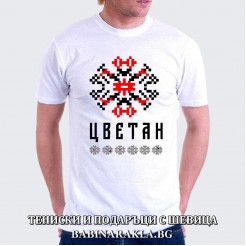 Men's T-shirt with embroidery TSVETAN