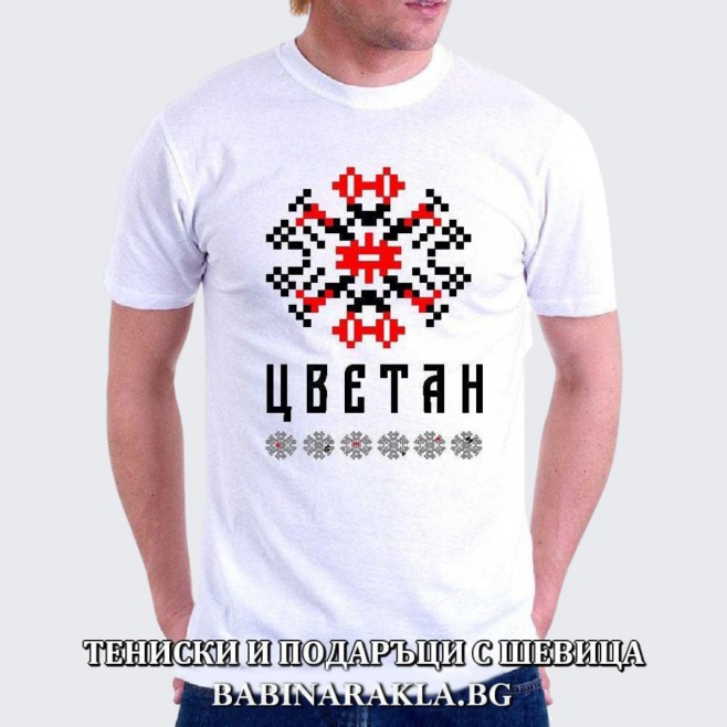 Men's T-shirt with embroidery TSVETAN