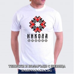 Men's T-shirt with embroidery NIKOLA