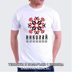Men's T-shirt with embroidery NIKOLAY