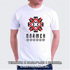 Men's T-shirt with embroidery PLAMEN