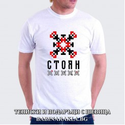 Men's T-shirt with embroidery STOYAN