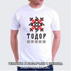 Men's T-shirt with embroidery TODOR