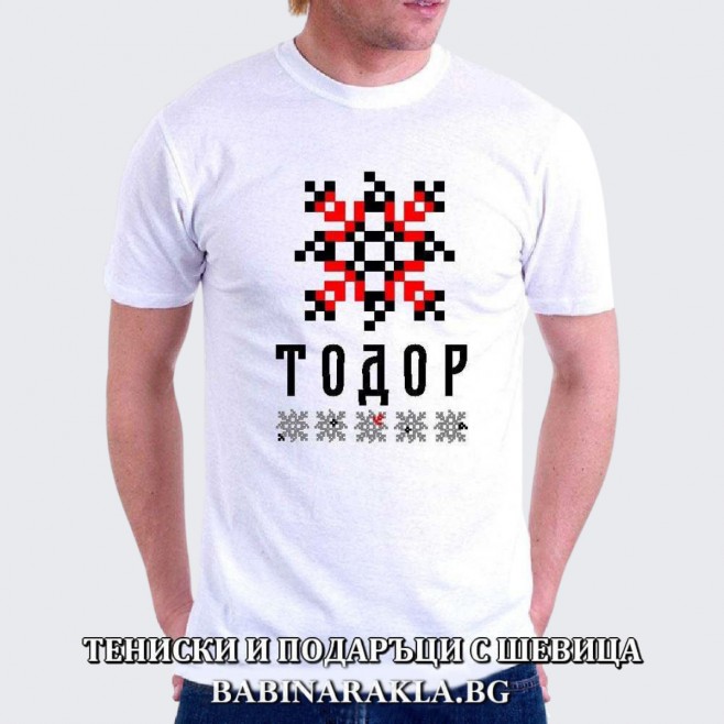 Men's T-shirt with embroidery TODOR