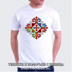 Men's T-shirt with embroidery 012