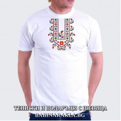 Men's T-shirt with embroidery 022