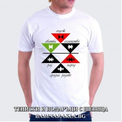 Men's T-shirt with embroidery 027