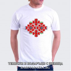Men's T-shirt with embroidery 031