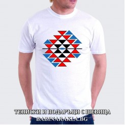 Men's T-shirt with embroidery - Kanatitsa, 025